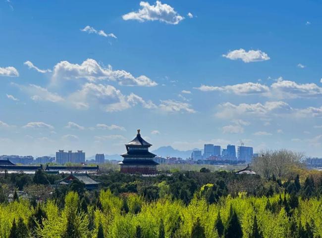 今年暑期出游机票不升反降？飞新疆却已涨到6000元