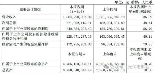 来源：禾望电气2025年半年度报告