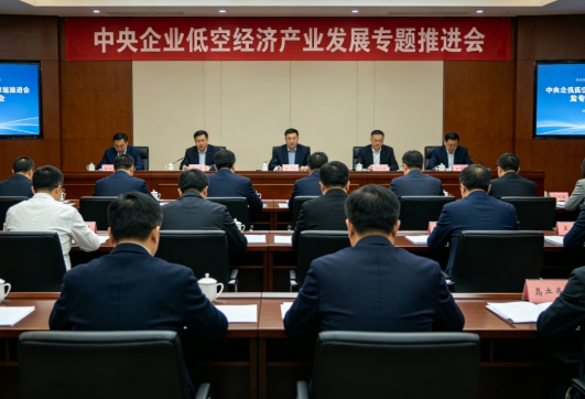 国务院国资委：加快打造具有国际竞争力的低空经济产业集群