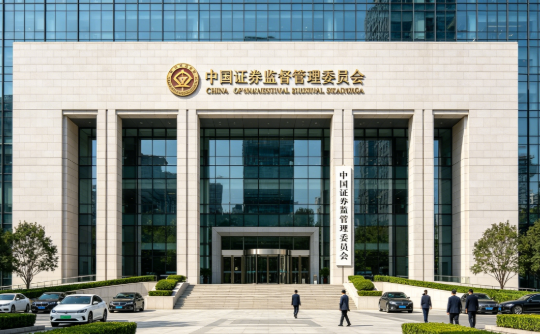 证监会新规精准打击违规减持